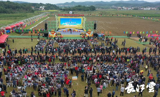 　　9月21日，咸寧市咸安區(qū)高橋蘿卜小鎮(zhèn)百畝草地上舉行了“慶豐收·迎小康”第三屆中國(guó)農(nóng)民豐收節(jié)湖北分會(huì)場(chǎng)咸寧主會(huì)場(chǎng)慶?；顒?dòng)，全市各界農(nóng)民代表相聚白水畈的美麗田野，分享豐收的喜悅，慶祝屬于自己的節(jié)日。  　　開幕式上舉行了精彩的文藝演出，演出在舞蹈《慶豐收》中拉開序幕，歌舞《錦繡小康》呈現(xiàn)出咸寧各地欣欣向榮、脫貧致富奔小康的幸福場(chǎng)景。網(wǎng)紅歌曲《你莫走》、舞蹈《慶豐收》、歌舞《一起幸福》，一個(gè)個(gè)精彩的節(jié)目輪番上演，博得現(xiàn)場(chǎng)觀眾陣陣掌聲。  　　開幕活動(dòng)現(xiàn)場(chǎng)還舉行了頒獎(jiǎng)儀式，第二屆“美麗中國(guó)、鄉(xiāng)村振興”全國(guó)農(nóng)民詩(shī)歌邀請(qǐng)賽獲獎(jiǎng)組織和個(gè)人，全市農(nóng)村人居環(huán)境整治示范村，省級(jí)農(nóng)業(yè)產(chǎn)業(yè)化工作先進(jìn)集體和先進(jìn)個(gè)人上臺(tái)領(lǐng)獎(jiǎng)。現(xiàn)場(chǎng)還舉行了鄂南民俗展演、農(nóng)民趣味運(yùn)動(dòng)會(huì)、扶貧農(nóng)產(chǎn)品以及咸寧特色農(nóng)產(chǎn)品展銷等豐富多彩的活動(dòng)?；鸨娜藲猓屧趫?chǎng)的展銷商賺得是盆滿缽滿。  　　咸寧市咸安區(qū)鑫達(dá)種養(yǎng)專業(yè)合作社理事長(zhǎng)萬永輝：今年家里的香菇都豐收了，一上午我就賣出了一萬多元，我們合作社采取的是“合作社+農(nóng)戶”的模式，也帶領(lǐng)了20多戶貧困戶脫貧了。  　　咸寧市致遠(yuǎn)種植專業(yè)合作社理事長(zhǎng) 吳海兵:我們今年是真真正正地豐收了，我們生姜的價(jià)格足足翻了三倍，跟著我們一起的貧困戶也平均增收了3000元左右。  　　而這一系列的活動(dòng)，都是在蘿卜小鎮(zhèn)的草地上進(jìn)行的，草地作舞臺(tái)、草地搞展示、草地上比賽等等，這數(shù)百畝草地，此時(shí)此刻成為了咸寧農(nóng)民們慶祝豐收的歡樂場(chǎng)。  　　咸寧市咸安區(qū)高橋鎮(zhèn)黨委書記王順榮：今年的湖北分會(huì)場(chǎng)在我們高橋蘿卜小鎮(zhèn)舉辦，我感到很榮幸，我們從一顆蘿卜做起，以白水畈蘿卜為核心品牌，打造白水畈"我家菜園"蔬菜基地及旅游觀光體驗(yàn)中心，發(fā)展綠色農(nóng)業(yè)、生態(tài)旅游，增加產(chǎn)業(yè)開發(fā)的綜合效益，創(chuàng)建蘿卜特色小鎮(zhèn)，走出了一條農(nóng)業(yè)、旅游相結(jié)合的新路，推動(dòng)高橋鎮(zhèn)一二三產(chǎn)業(yè)融合發(fā)展。  　　鄉(xiāng)親們說，這在以前是想都不敢想的，高橋鎮(zhèn)蝸居山里，太偏遠(yuǎn)又沒有資源優(yōu)勢(shì)，想發(fā)展太難。而現(xiàn)在這一切的悄然改變，得益于2017年10月13日，咸安區(qū)政府與鄂旅投公司正式簽署的《131軍旅小鎮(zhèn)+白水畈田園綜合體旅游開發(fā)投資合作協(xié)議》，鄂旅投公司將投資30億元，在高橋鎮(zhèn)打造131軍旅小鎮(zhèn)和白水畈田園綜合體旅游開發(fā)項(xiàng)目。項(xiàng)目共分為131軍旅小鎮(zhèn)、白水畈美麗鄉(xiāng)村、特色農(nóng)業(yè)示范、旅游綜合體四大板塊，打造旅游綜合服務(wù)區(qū)、澄水洞軍事展示區(qū)、青少年國(guó)防教育基地、鐵血軍事樂園區(qū)、戰(zhàn)狼訓(xùn)練基地、美麗村灣民俗區(qū)、四季瓜果示范區(qū)、農(nóng)耕文化展示區(qū)、特色商業(yè)街區(qū)和康養(yǎng)度假區(qū)十大功能區(qū)。  　　咸寧市咸安區(qū)高橋鎮(zhèn)黨委書記王順榮：我們引進(jìn)鄂旅投，打造蘿卜小鎮(zhèn)，目前建設(shè)有蘿卜小鎮(zhèn)科普館、蘿卜鄉(xiāng)學(xué)院、蘿卜酒店等休閑旅游項(xiàng)目，十一馬上到了，也歡迎廣大游客前來游玩。  　　今年是決勝全面建成小康社會(huì)、決戰(zhàn)脫貧攻堅(jiān)之年。咸寧市本著"儉樸、祥和、歡樂，農(nóng)民參與，農(nóng)民唱主角"的辦節(jié)思路，而此屆中國(guó)農(nóng)民豐收節(jié)辦節(jié)費(fèi)用也是倍減。  　　農(nóng)為邦本，本固邦寧。今年，面對(duì)重大疫情和特大洪澇災(zāi)害，咸寧市扎實(shí)做好“六穩(wěn)”工作、落實(shí)“六?！比蝿?wù)，克服重重困難，推動(dòng)農(nóng)業(yè)實(shí)現(xiàn)持續(xù)平穩(wěn)發(fā)展，形成了茶葉、油茶、中藥材等12個(gè)特色農(nóng)業(yè)主導(dǎo)產(chǎn)業(yè)，“全國(guó)一村一品示范村鎮(zhèn)”發(fā)展到14家，國(guó)家級(jí)、省級(jí)農(nóng)業(yè)產(chǎn)業(yè)化龍頭企業(yè)達(dá)到55家。尤其是糧食產(chǎn)量預(yù)計(jì)達(dá)118萬噸、蔬菜產(chǎn)量預(yù)計(jì)達(dá)260萬噸，生豬預(yù)計(jì)出欄183.52萬頭，農(nóng)業(yè)生產(chǎn)再獲豐收，糧食安全有效保障，讓農(nóng)民的腰包更鼓、家園更美、生活更甜，為加快實(shí)施鄉(xiāng)村振興戰(zhàn)略、推動(dòng)咸寧高質(zhì)量發(fā)展提供堅(jiān)實(shí)保障。